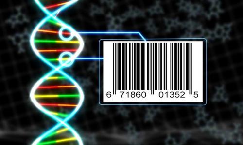 DNA MÃ VẠCH - ỨNG DỤNG MỚI TRONG TRUY XUẤT NGUỒN GỐC  SẢN PHẨM